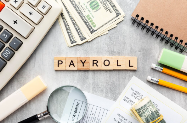 payroll software