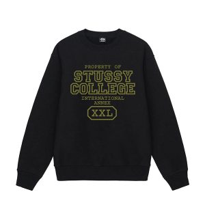 Stussy Sweatshirt Redefining Comfort and Street Style