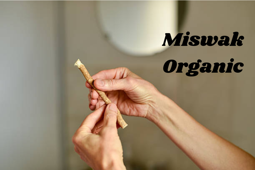 Miswak Organic