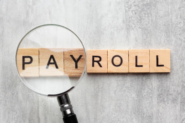 payroll software in pakistan