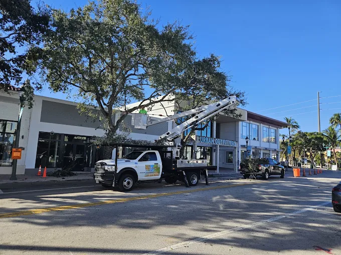 Tree Health in Boynton Beach FL